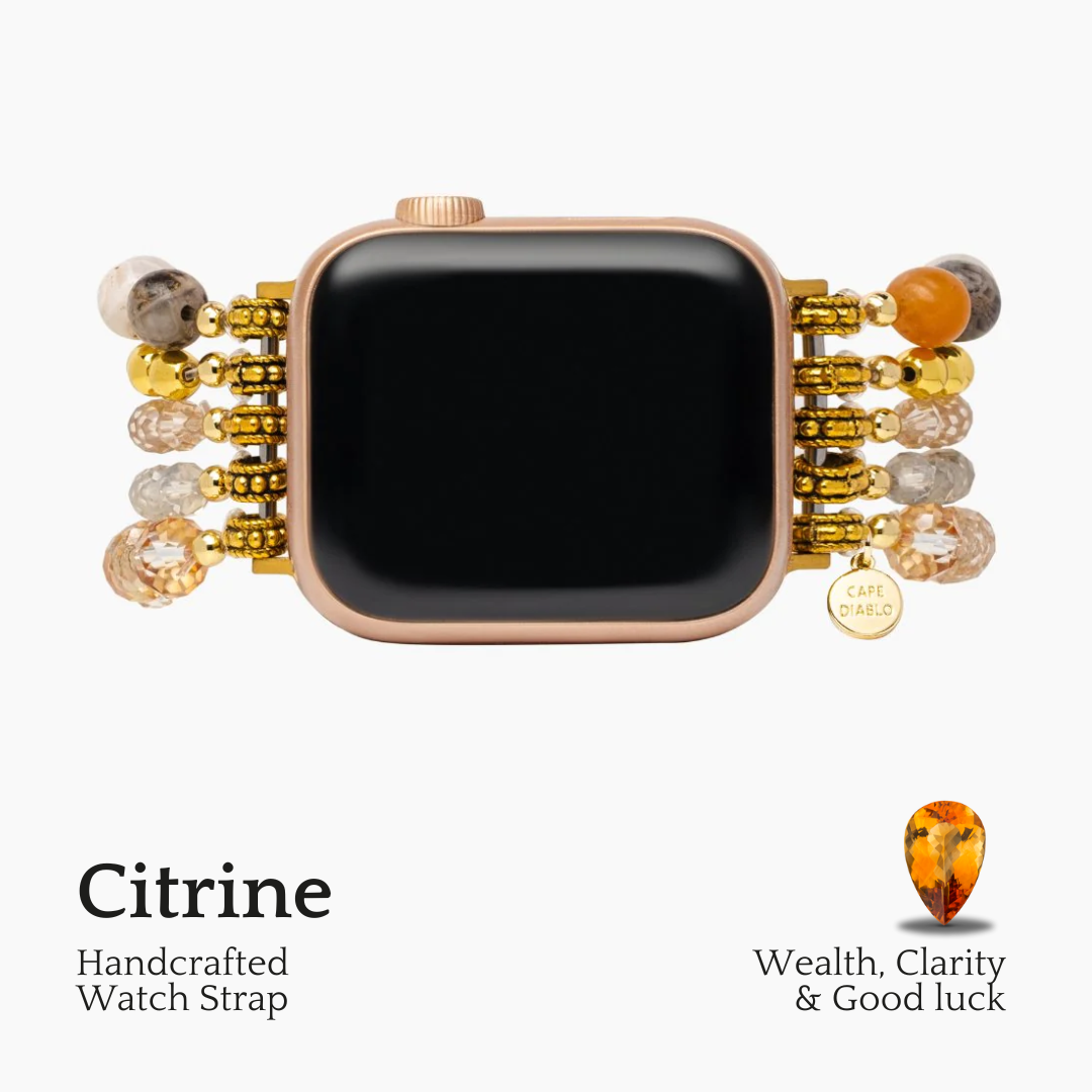 ダークシャンパン ストレッチ Apple Watch ストラップ